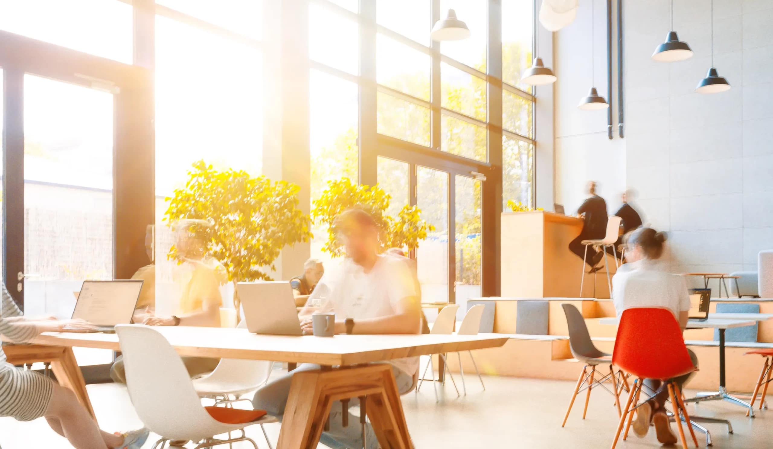 damm-und-bierbaum-mitarbeiter-shooting-2-werbeagentur-frankfurt@2x damm-und-bierbaum-mitarbeiter-shooting-2-werbeagentur-frankfurt@2x